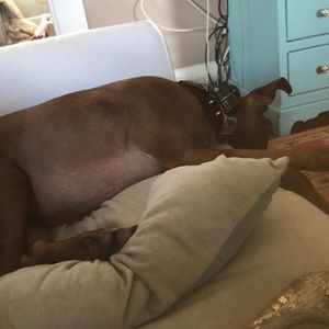 Meet your Posher, Briana